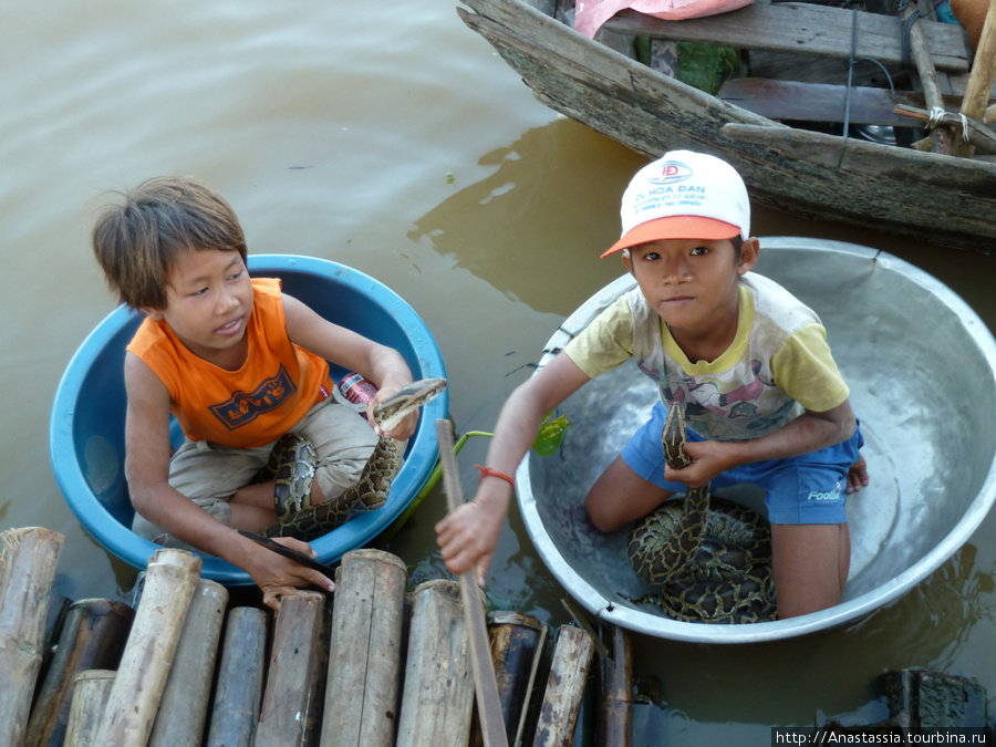 Маленькие вымогатели с озера Тонле Сап Провинция Сиемреап, Камбоджа