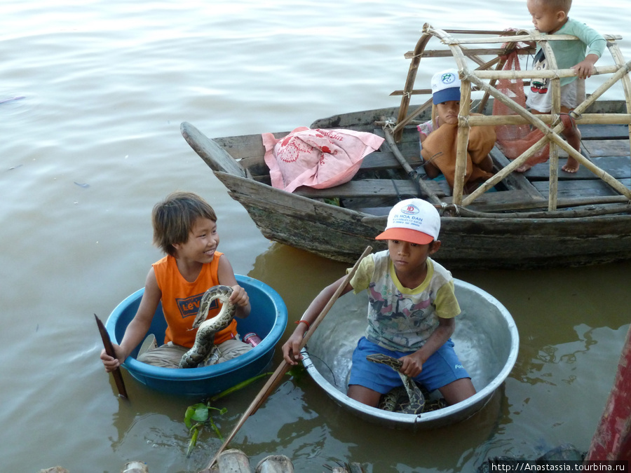 Маленькие вымогатели с озера Тонле Сап Провинция Сиемреап, Камбоджа