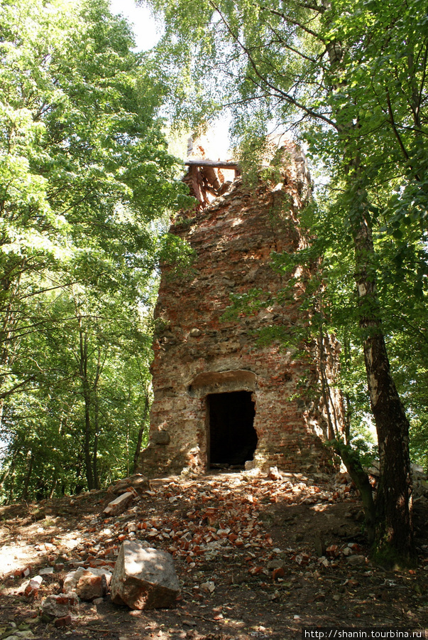 Башня Бисмарка в лесу у Горино Калининградская область, Россия