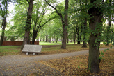 В парке у немецкого кладбища