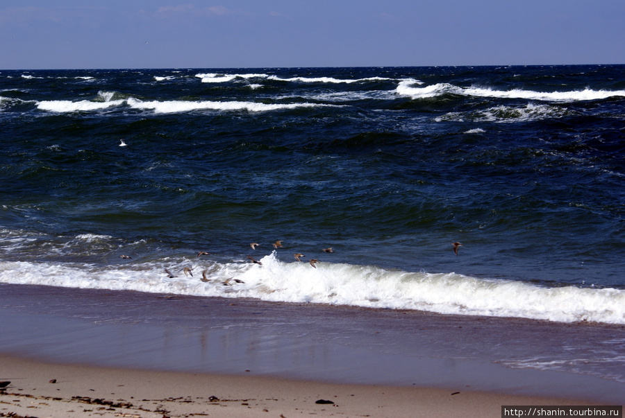 Балтийское море у Балтийской косы Балтийск, Россия