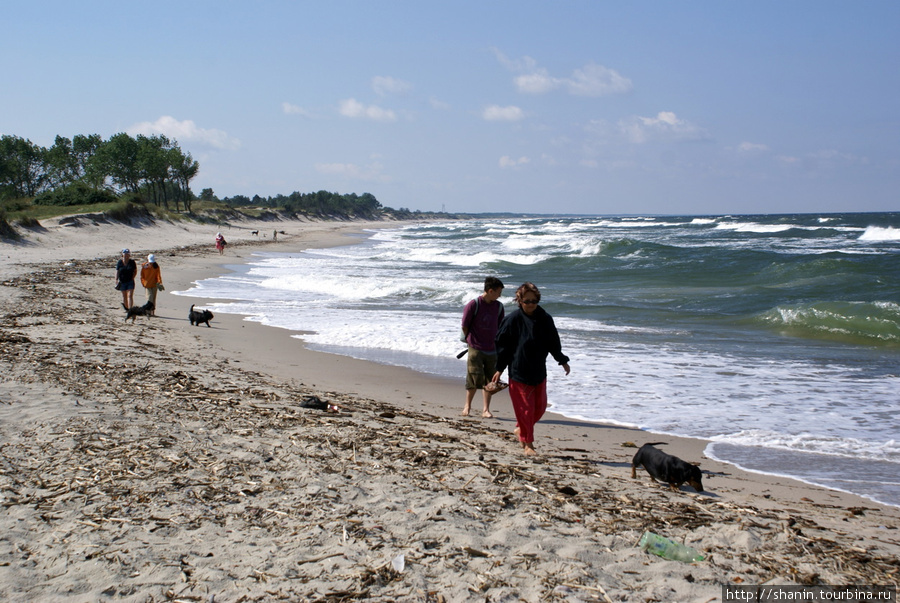 Прогулка по пляжу Балтийск, Россия