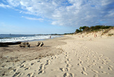 Пляж на Балтийской косе