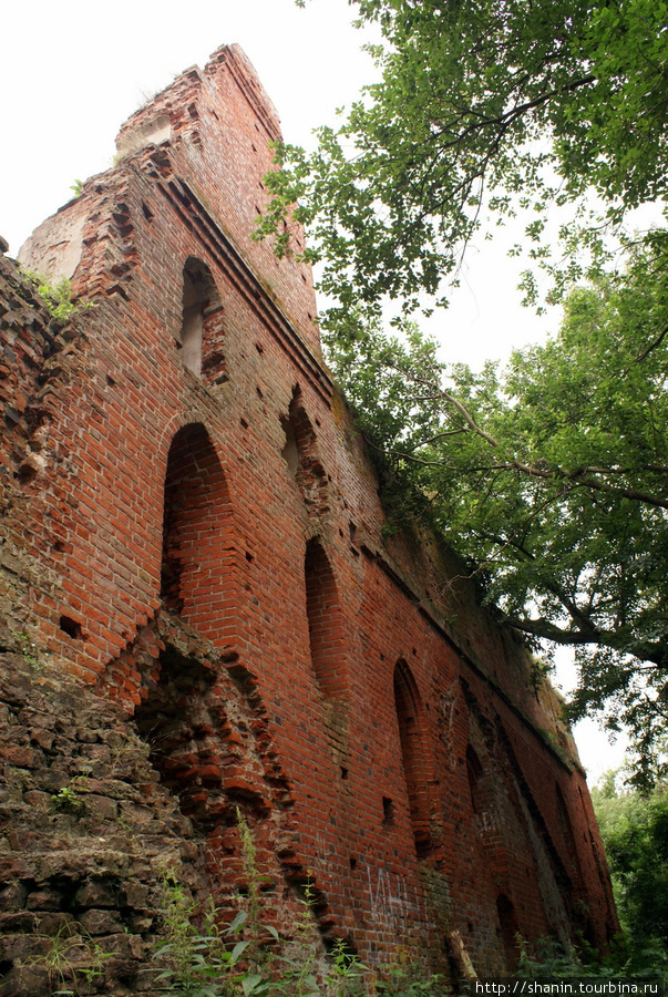 Стена замка Бальга Калининградская область, Россия