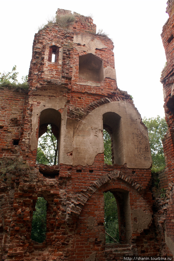 Руины замка Бальга Калининградская область, Россия