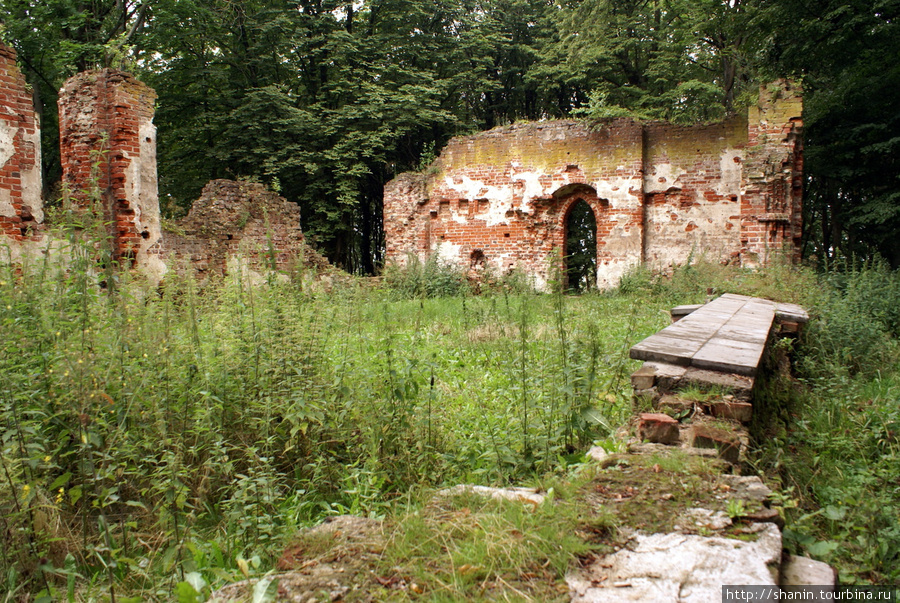 Руины кирхи у замка Бальга Калининградская область, Россия