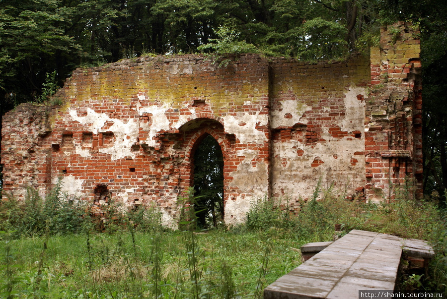 На руинах кирхи у замка Бальга Калининградская область, Россия