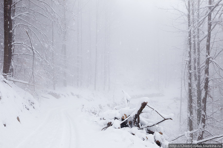 Замок Ландек, фотографии. Клингенмюнстер, Германия