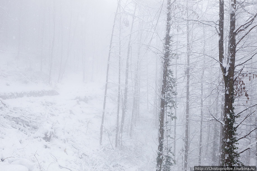 Замок Ландек, фотографии. Клингенмюнстер, Германия