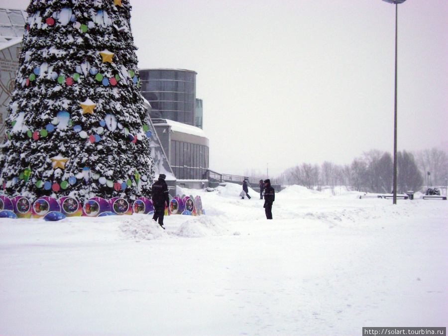 Два охраняют елку Минск, Беларусь