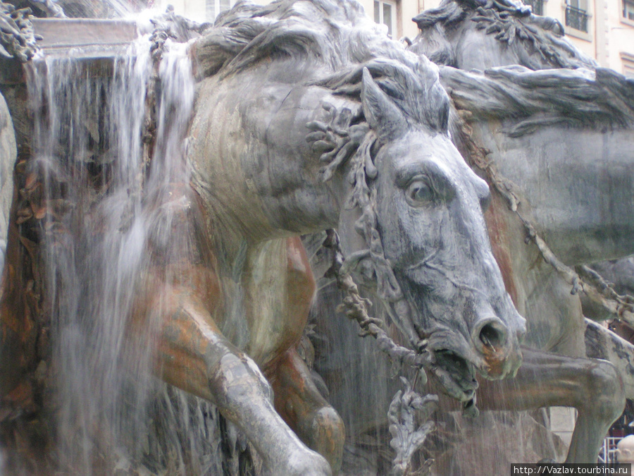 Диковатая лошадь Лион, Франция