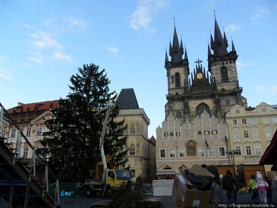 Рождественская елка Прага, Чехия