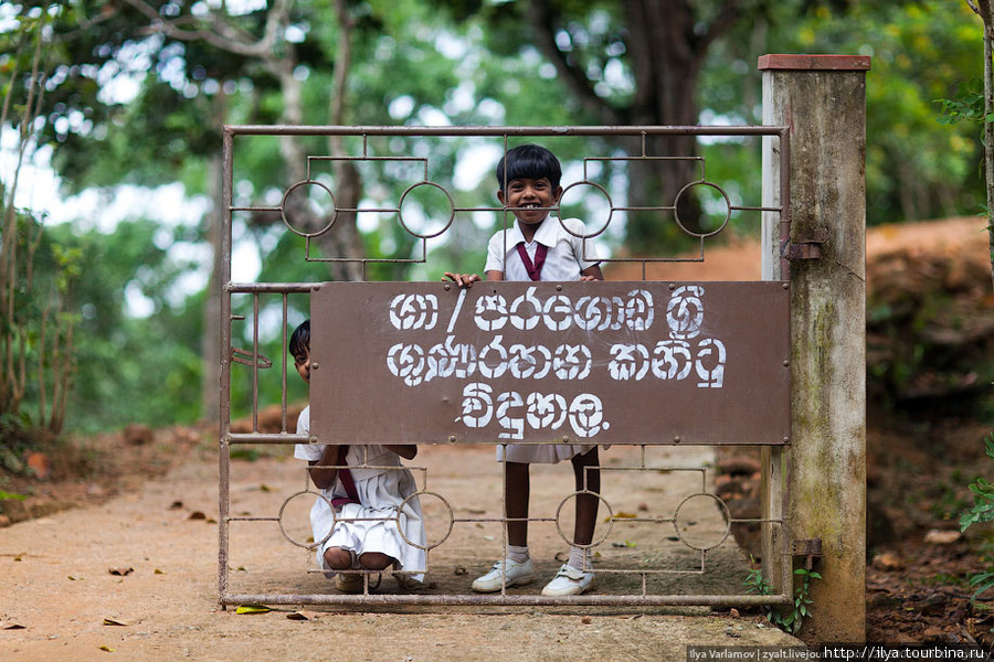 Село Парагода школа Гуна Расина Южная провинция, Шри-Ланка