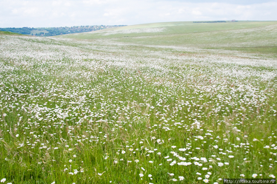 Seven Sisters walk Истбурн, Великобритания