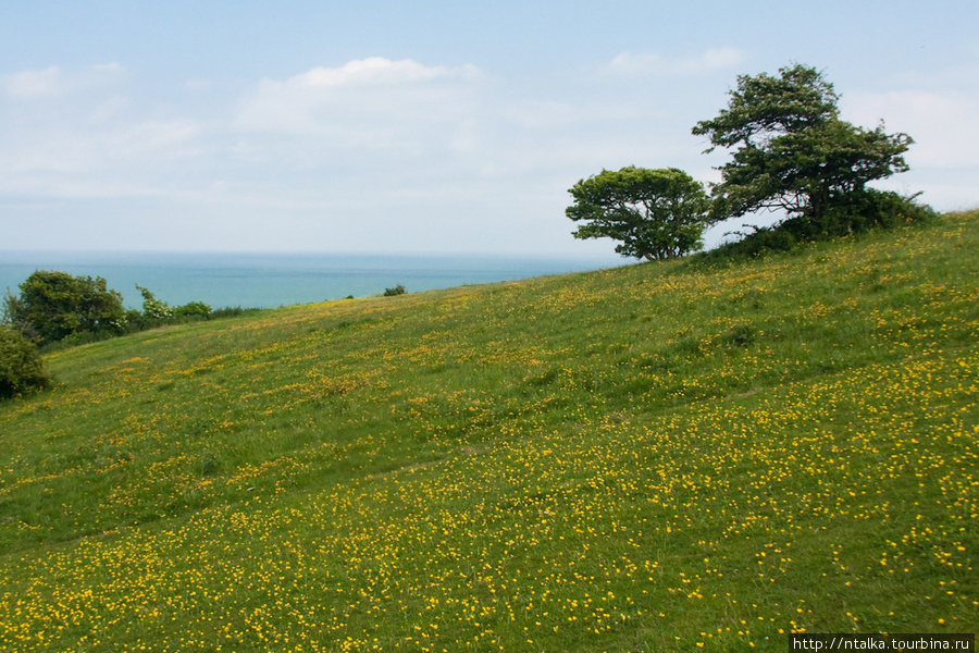 Seven Sisters walk Истбурн, Великобритания