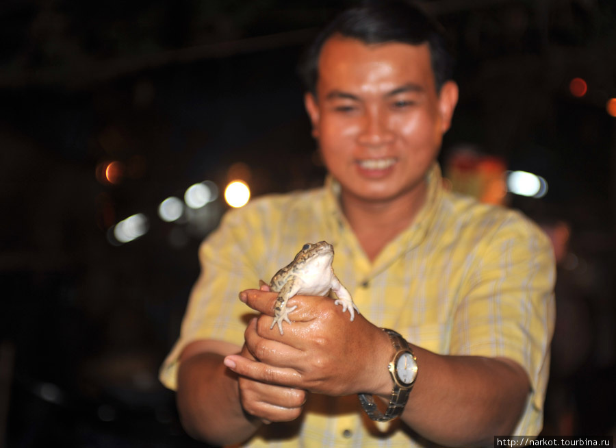 съесть лягушку Луанг-Прабанг, Лаос