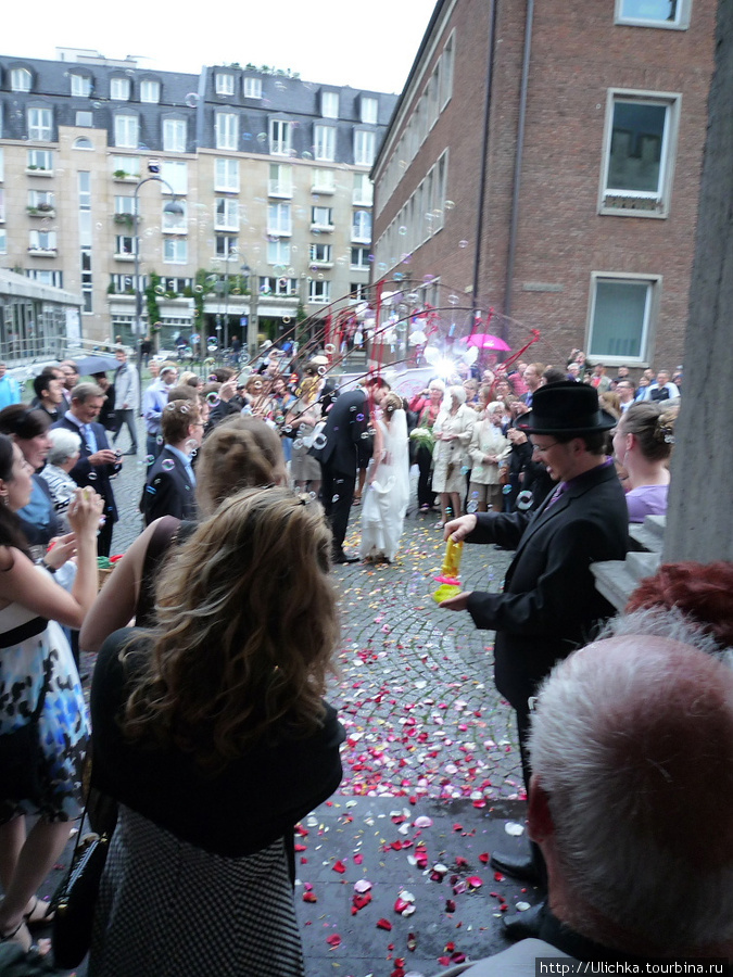 Свадьба в Кельне. Кёльн, Германия