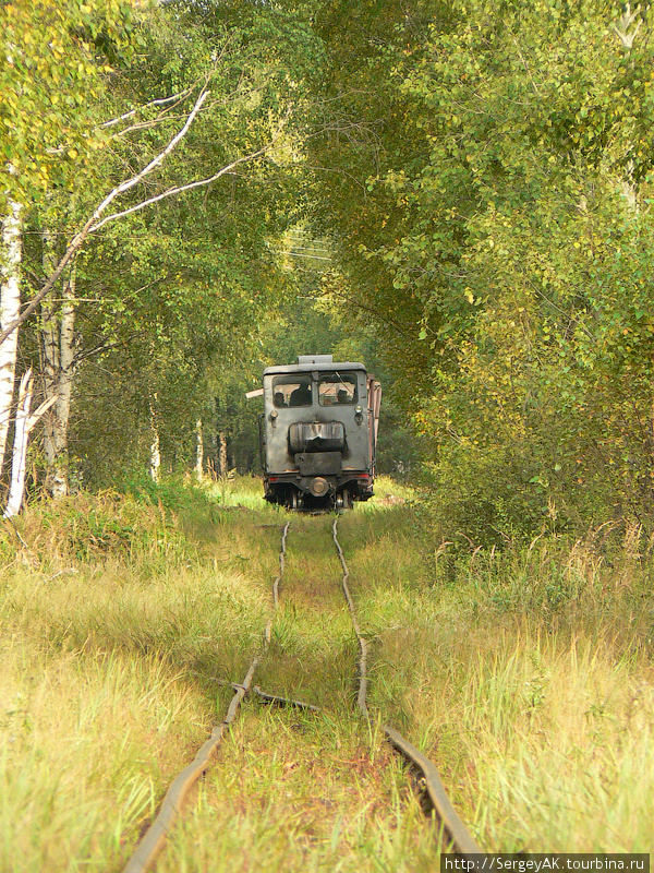 Рабочий поезд в окрестностях пос. Болонь (Рязанская область)