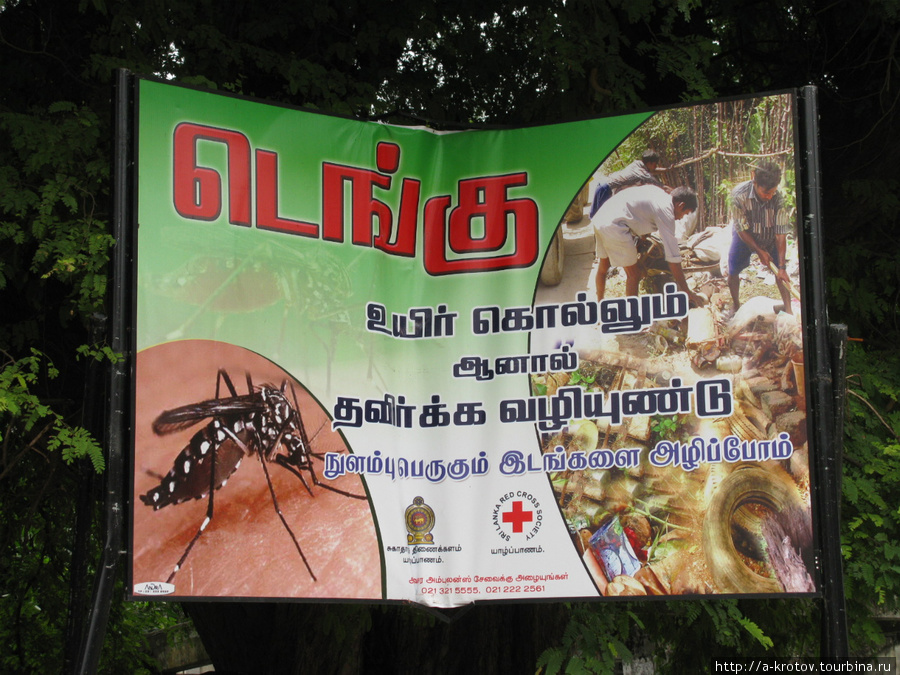 Остерегайтесь малярии, лихорадки денге, комаров, ... Кайтс, Шри-Ланка