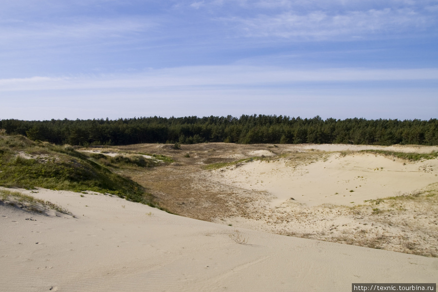 Постепенно пески заканчиваются Куршская Коса Национальный Парк, Россия