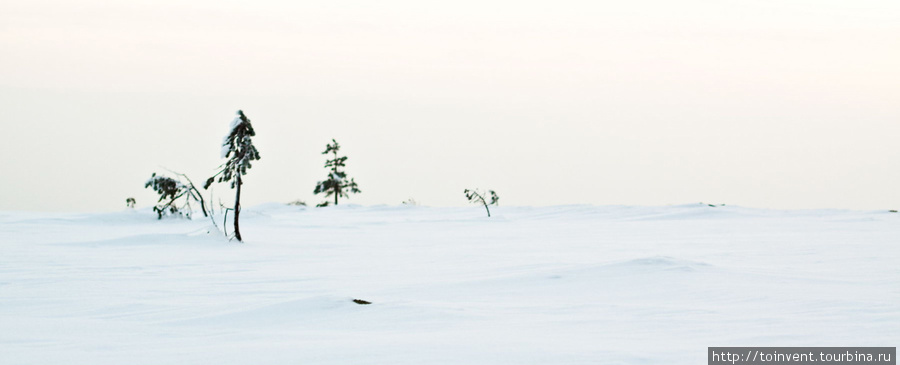Зимний поход по тундрам возле Оленегорска и Мончегорска. Оленегорск, Россия