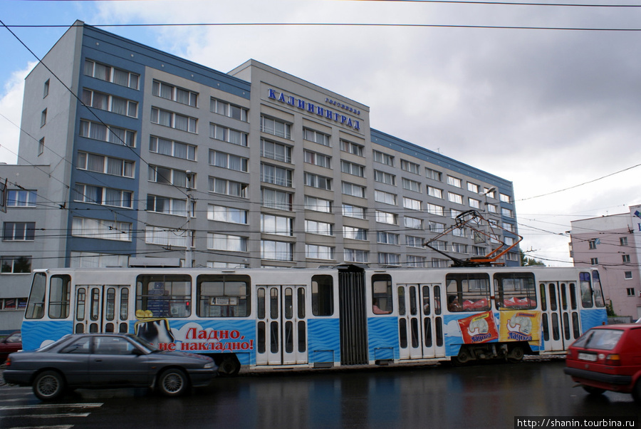 Трамвай перед гостиницей Калининград Калининград, Россия