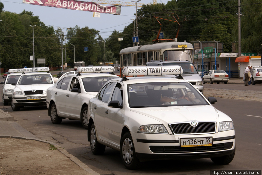 Такси калининград зеленоградск