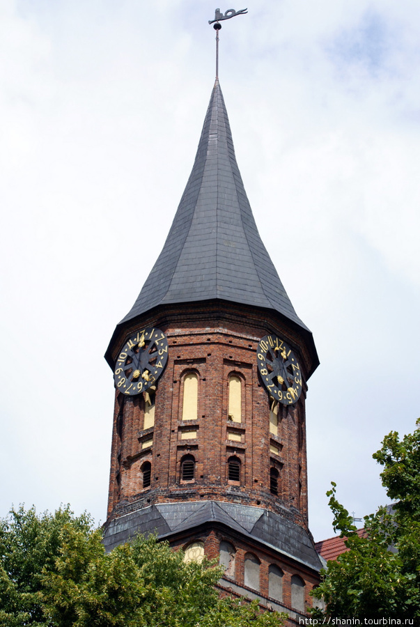 Башня собора Калининград, Россия