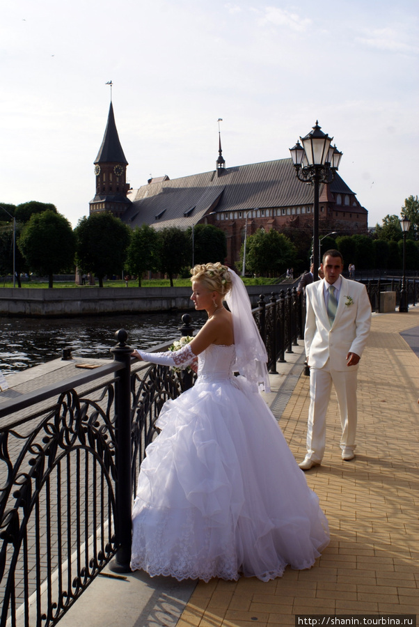 Свадьба на набережной Калининград, Россия