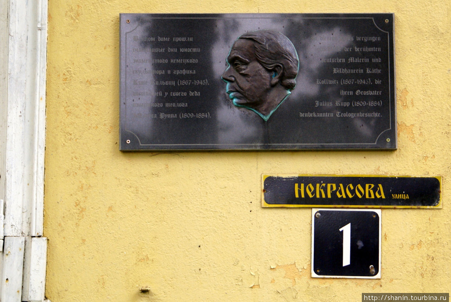 Мемориальная доска немецкому скульптору Кольвицу на улице Некрасова в Светлогорске