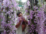 Опьянённый ароматом орхидей